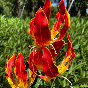 Close-up of red and gold fabric petals on a solar fire lily