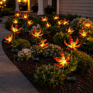 Solar fire lily lights guiding a front pathway at night