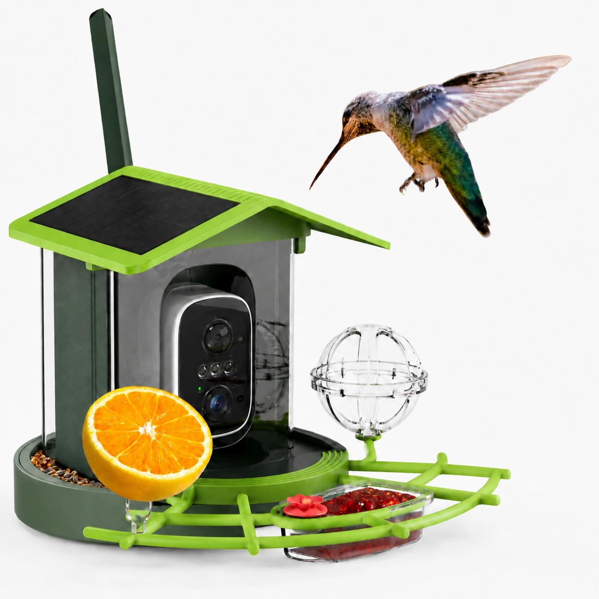 Smart bird feeder shown with compatible food attachments