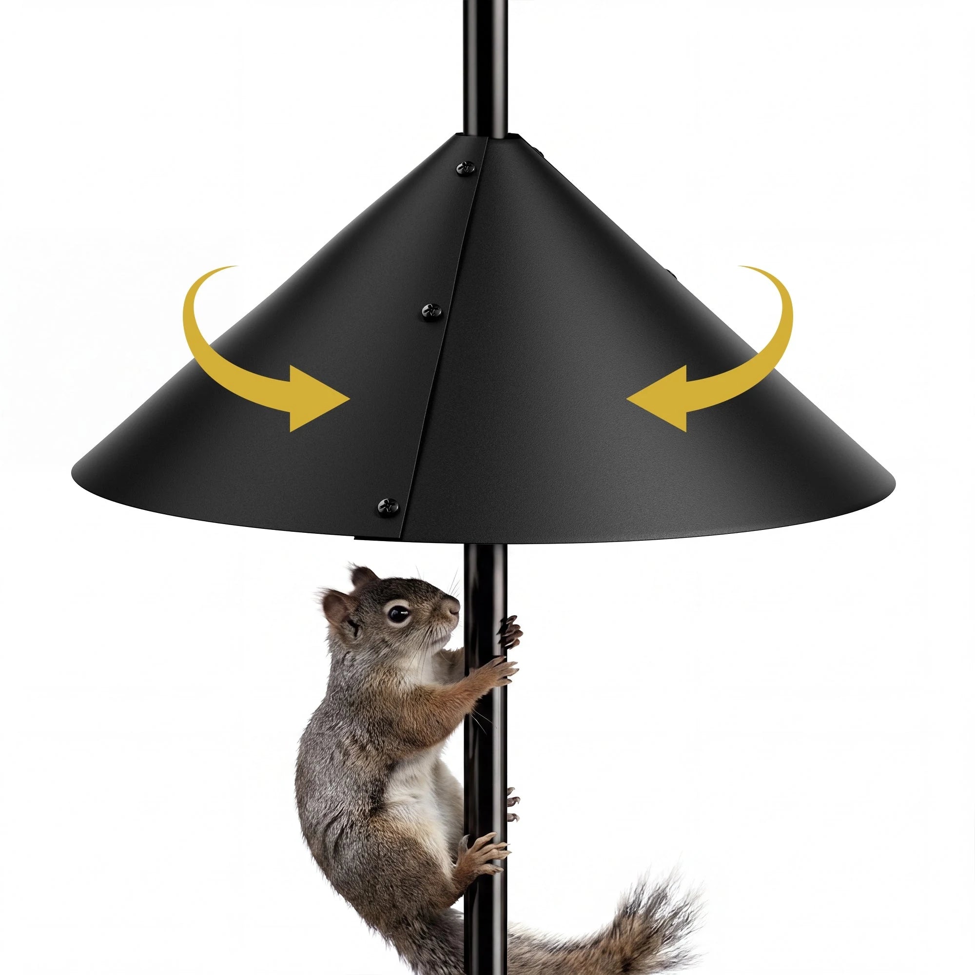 Pole-mounted bird feeder with a compatible squirrel baffle