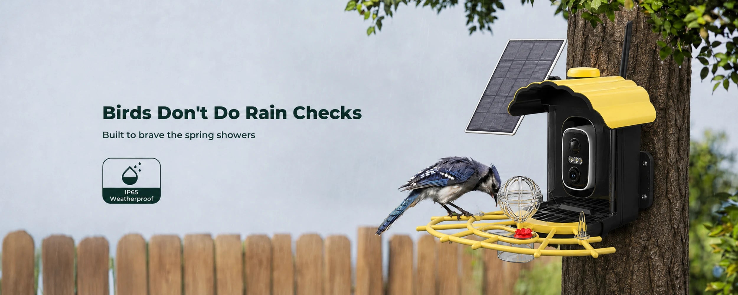 Weather-resistant smart bird feeder during spring rain