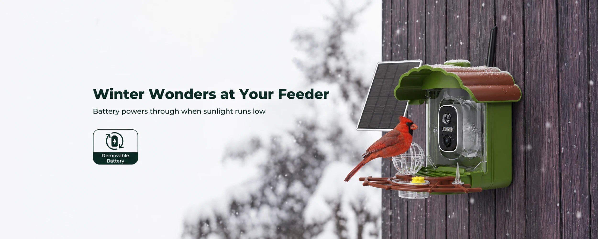 Battery-powered smart bird feeder during winter