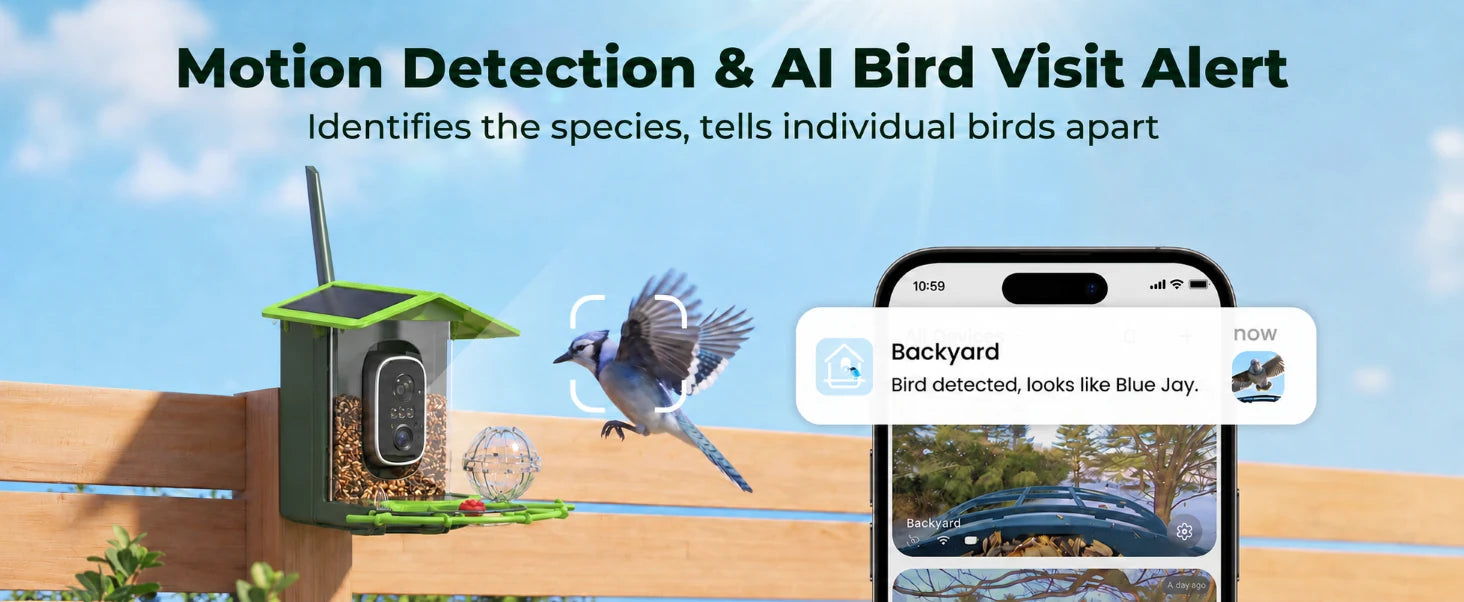 Phone alert when a bird arrives at the smart feeder