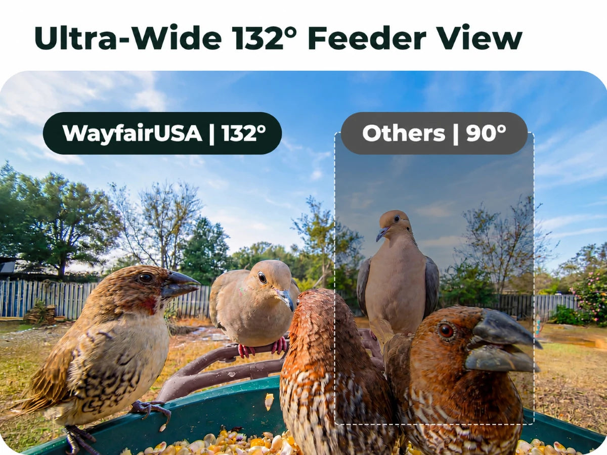 132-degree wide camera view across the feeder tray