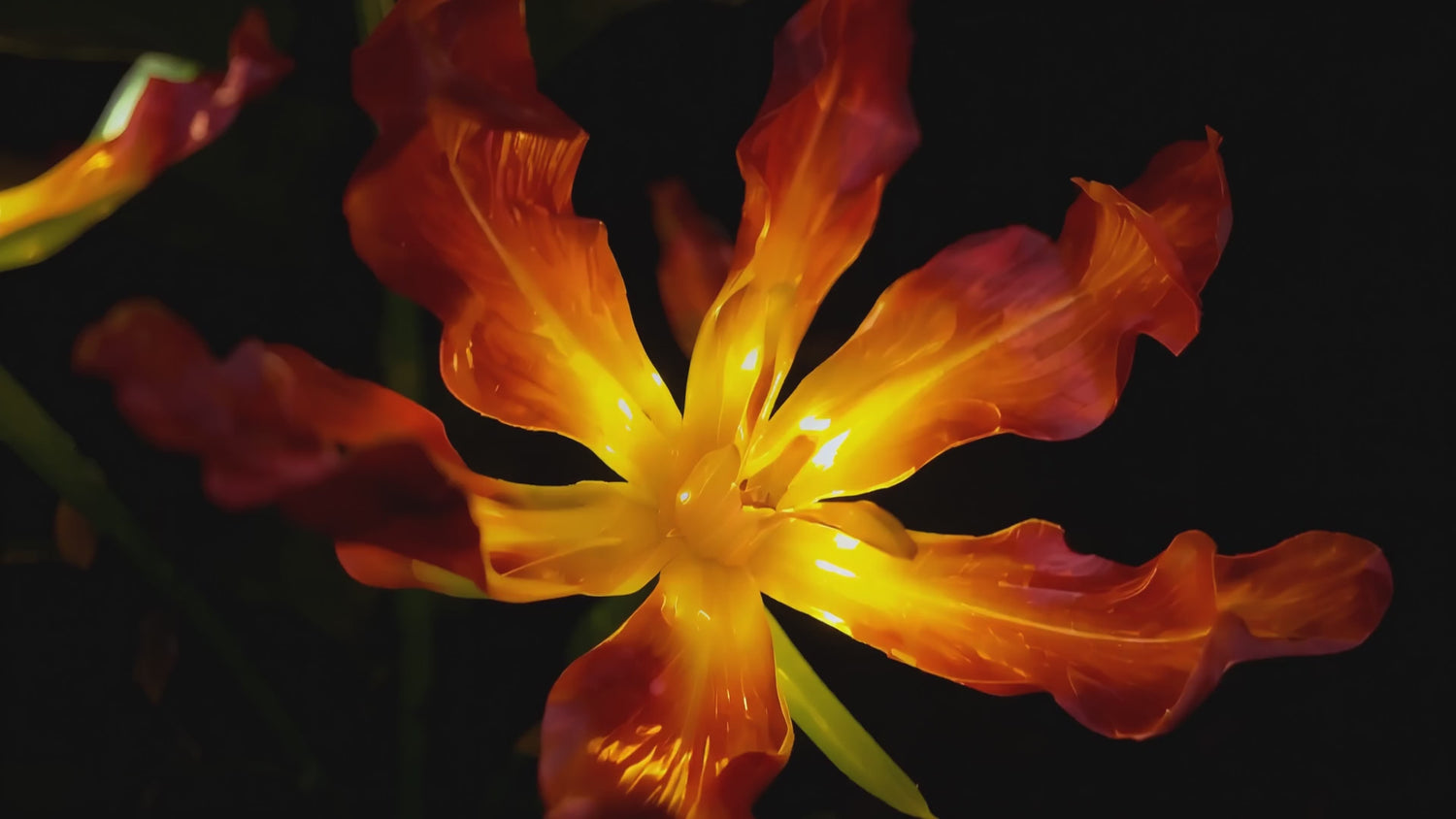 Solar flame lily garden stake lights glowing in a front garden at night