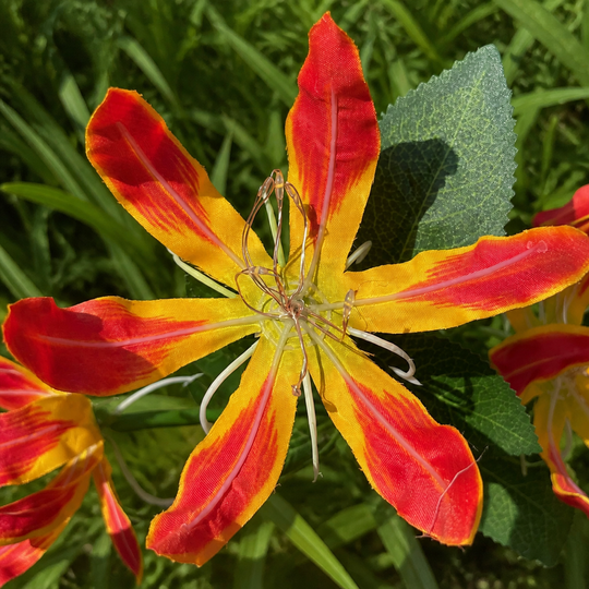 Close-up of an open solar fire lily bloom showing the center LED