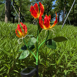 Three solar fire lily blooms photographed from a side angle