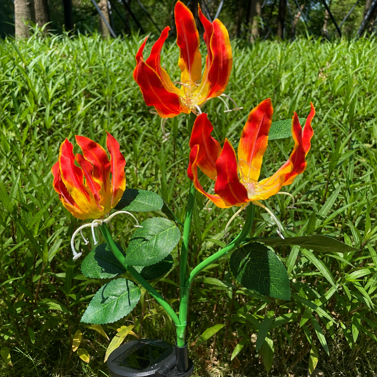 Three red and gold solar fire lily blooms with the solar panel visible