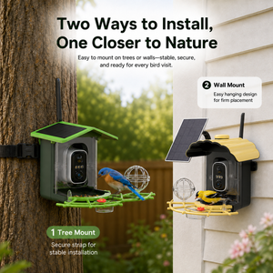 Green and yellow smart bird feeder cameras mounted to a tree and wall