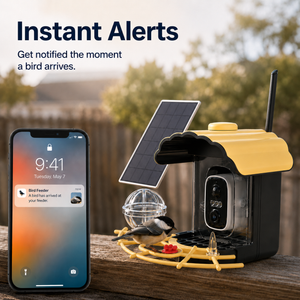 Bird arrival alert shown beside a yellow smart bird feeder camera
